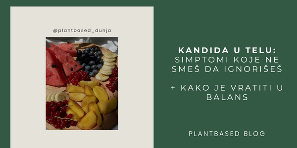 Ilustracija voćne plate sa naslovom blog posta o simptomima kandide i kako je vratiti u balans prirodnim putem, Plantbased Dunja blog