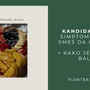 Ilustracija voćne plate sa naslovom blog posta o simptomima kandide i kako je vratiti u balans prirodnim putem, Plantbased Dunja blog